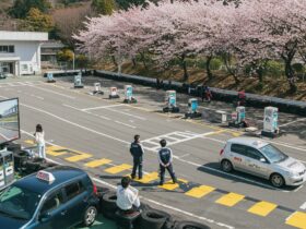 桜が咲いている春のイメージが伝わる自動車学校